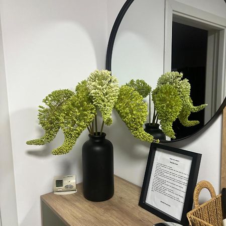 Rorada Apartament Făgăraş Dış mekan fotoğraf